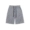 Dior tracksuits for Dior Short Tracksuits for men #A60901