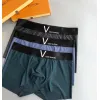 Louis Vuitton Underwears for Men Soft skin-friendly light and breathable (3PCS) #99115946 Louis Vuitton Underwears for Men Soft skin-friendly light and breathable (3PCS) #99115946