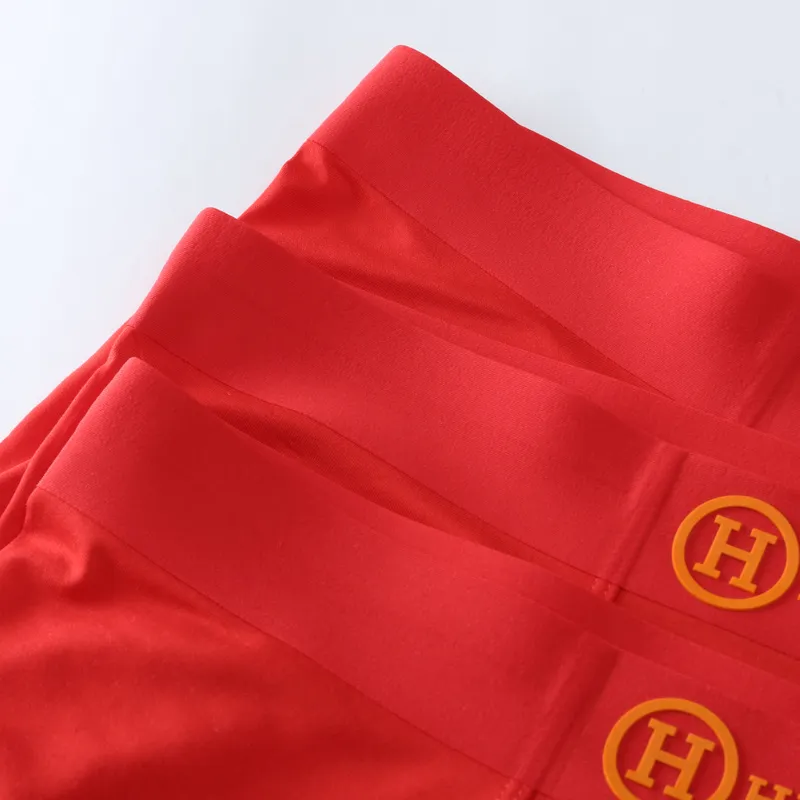 Hermes  Underwears for men #A45986