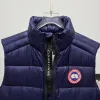Ca*Goose New Arrival Stand-Collar Down Vest for Women/Men Winter Essential Luxury Outerwear #A57859