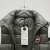 Ca*Goose New Arrival Stand-Collar Down Vest for Women/Men Winter Essential Luxury Outerwear #A57862