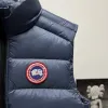 Ca*Goose New Arrival Stand-Collar Down Vest for Women/Men Winter Essential Luxury Outerwear #A57860