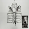 Ca*Goose New Arrival Stand-Collar Down Vest for Women/Men Winter Essential Luxury Outerwear #A57857