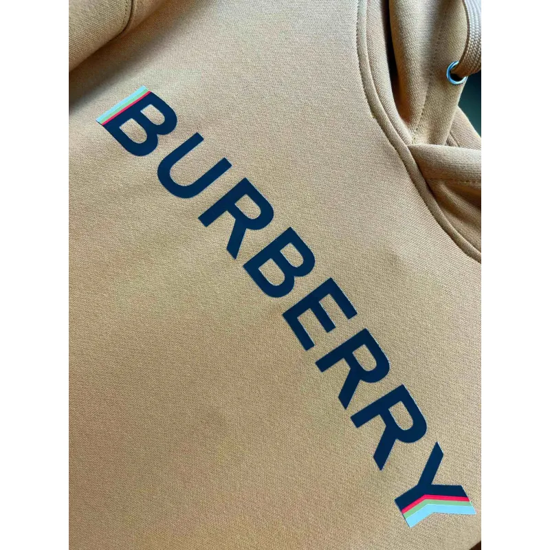 Burberry Hoodies for Men #A58519