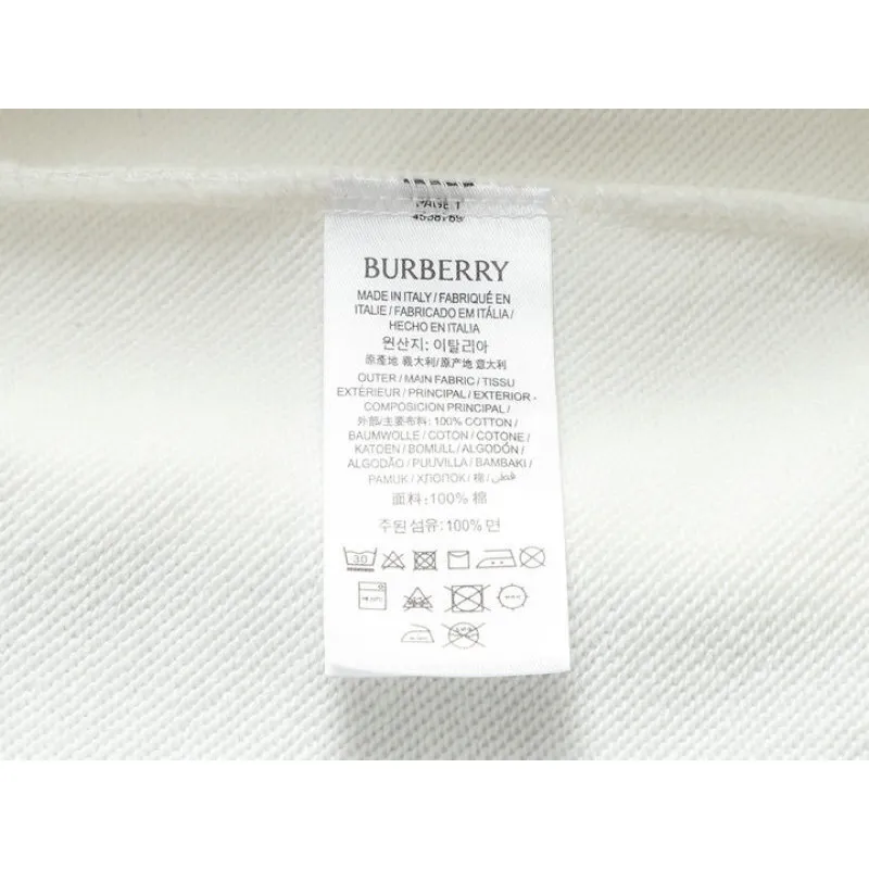 Burberry Hoodies for Men #A57545