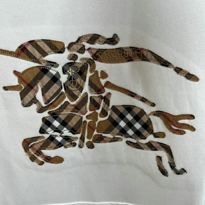 Burberry Hoodies for Men #A57558