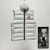 Ca*Goose New Arrival Stand-Collar Down Vest for Women/Men Winter Essential Luxury Outerwear #A57857