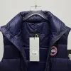 Ca*Goose New Arrival Stand-Collar Down Vest for Women/Men Winter Essential Luxury Outerwear #A57859