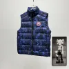 Ca*Goose New Arrival Stand-Collar Down Vest for Women/Men Winter Essential Luxury Outerwear #A57861
