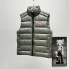 Ca*Goose New Arrival Stand-Collar Down Vest for Women/Men Winter Essential Luxury Outerwear #A57862