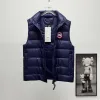 Ca*Goose New Arrival Stand-Collar Down Vest for Women/Men Winter Essential Luxury Outerwear #A57859