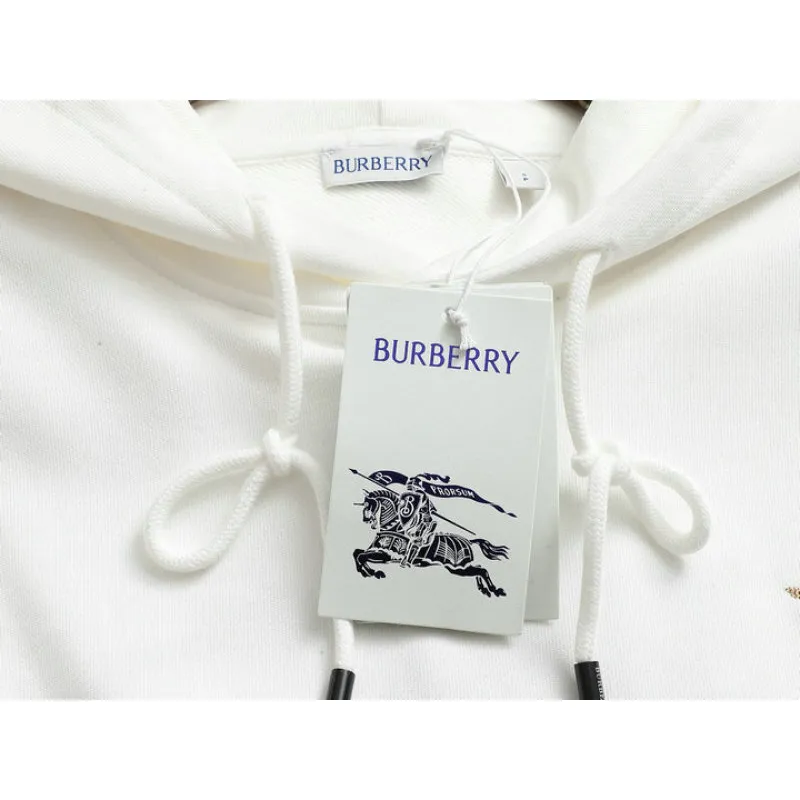 Burberry Hoodies for Men #A57544