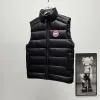 Ca*Goose New Arrival Stand-Collar Down Vest for Women/Men Winter Essential Luxury Outerwear #A57855