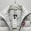 Ca*Goose New Arrival Stand-Collar Down Vest for Women/Men Winter Essential Luxury Outerwear #A57857