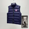 Ca*Goose New Arrival Stand-Collar Down Vest for Women/Men Winter Essential Luxury Outerwear #A57859