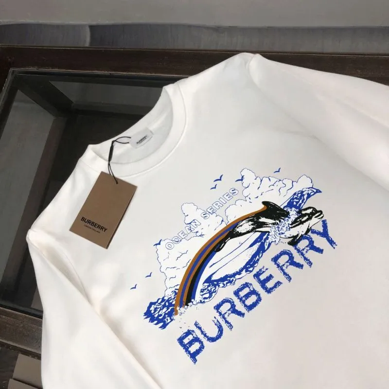 Burberry Hoodies for Men #A57676