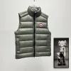 Ca*Goose New Arrival Stand-Collar Down Vest for Women/Men Winter Essential Luxury Outerwear #A57862