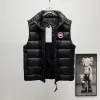 Ca*Goose New Arrival Stand-Collar Down Vest for Women/Men Winter Essential Luxury Outerwear #A57855