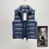 Ca*Goose New Arrival Stand-Collar Down Vest for Women/Men Winter Essential Luxury Outerwear #A57860