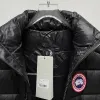 Ca*Goose New Arrival Stand-Collar Down Vest for Women/Men Winter Essential Luxury Outerwear #A57855