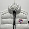 Ca*Goose New Arrival Stand-Collar Down Vest for Women/Men Winter Essential Luxury Outerwear #A57857