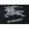 Burberry Hoodies for Men #A25665