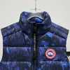 Ca*Goose New Arrival Stand-Collar Down Vest for Women/Men Winter Essential Luxury Outerwear #A57861