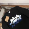 Burberry Hoodies for Men #A57676