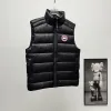 Ca*Goose New Arrival Stand-Collar Down Vest for Women/Men Winter Essential Luxury Outerwear #A57855