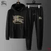 Burberry Tracksuits for Mens long tracksuits #A50703 Burberry Tracksuits for Mens long tracksuits #A50703