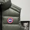 Ca*Goose New Arrival Stand-Collar Down Vest for Women/Men Winter Essential Luxury Outerwear #A57862