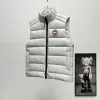 Ca*Goose New Arrival Stand-Collar Down Vest for Women/Men Winter Essential Luxury Outerwear #A57857