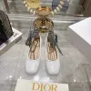 D-ior Shoes 25 Spring and Summer New Ribbon Womens Shoes #A53178 D-ior Shoes 25 Spring and Summer New Ribbon Womens Shoes #A53178