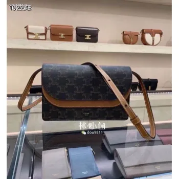 CELINE 2024 new handbag #A34856