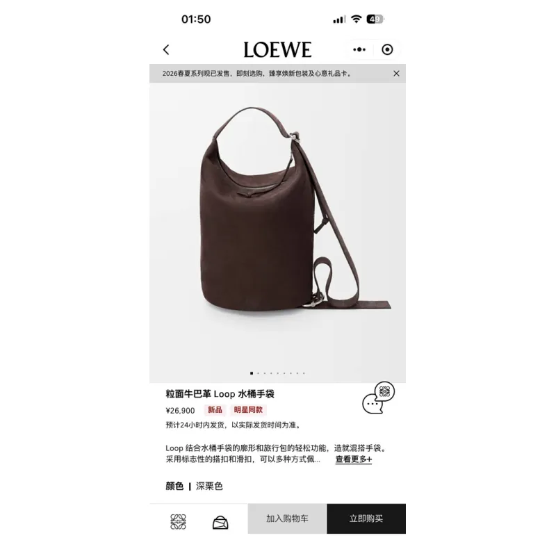 Loewe Loop Suede Bucket Shoulder Bag, 39 x 15.5 x 39 cm #A63228