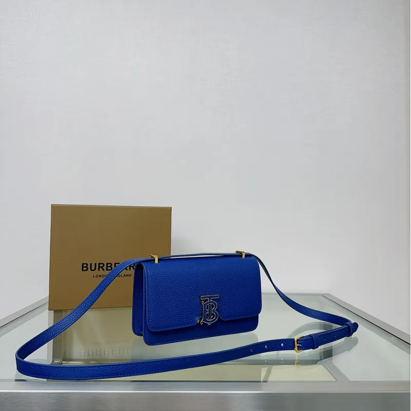 Stylish Burberry Handbags Showcasing Classic Design and Trendy Colors #A50419