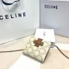 Celine Leather Wallet with Triomphe Closure #A46200