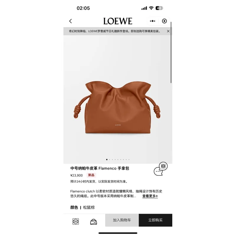 Loewe Flamenco Nappa Leather Drawstring Bag 30x24.5x10.5cm #A63852