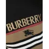 Burberry Tracksuits for Mens long tracksuits #A60160