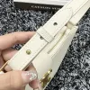 CELINE 2024 new handbag #A34857