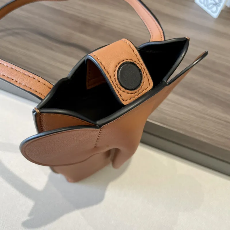 LOEWE Chic Orange Leather Crossbody Phone Bag with Minimalist Design size:19×8×4cm #A54101