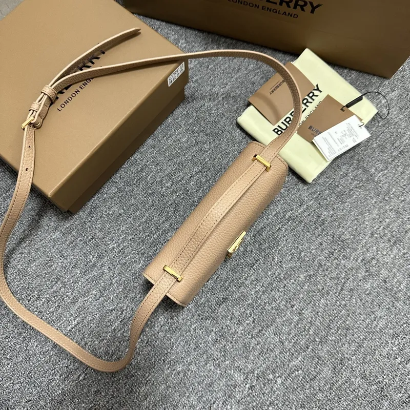 Stylish Burberry Handbags Showcasing Classic Design and Trendy Colors #A50419