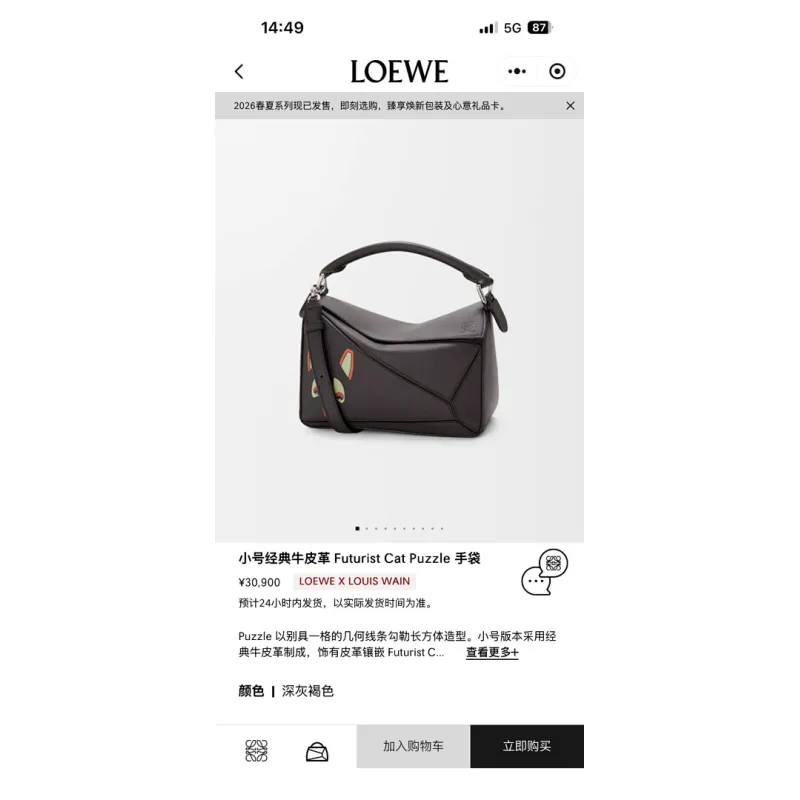 Loewe Puzzle Fringe Cat Leather Shoulder Bag 24x10.5x16CM #A63849
