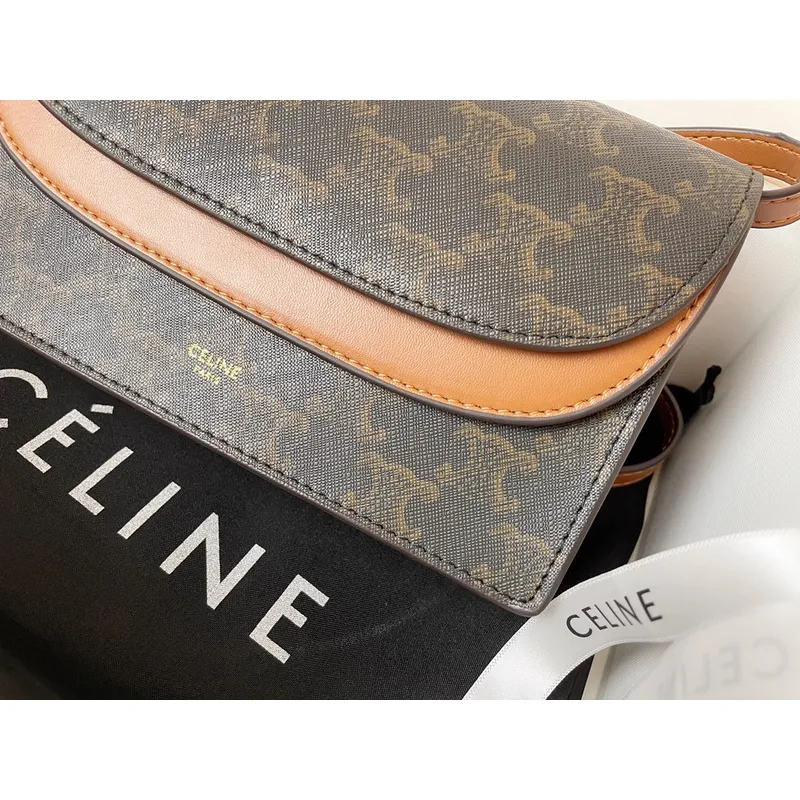 CELINE 2024 new handbag #A34856