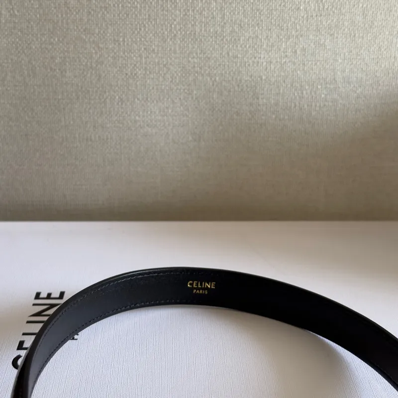 Chic Black Patent Leather Celine Handbag With Signature Gold Hardware For Fashionistas size:18×13×6cm #A54348