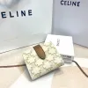 Celine Leather Wallet with Triomphe Closure #A46200