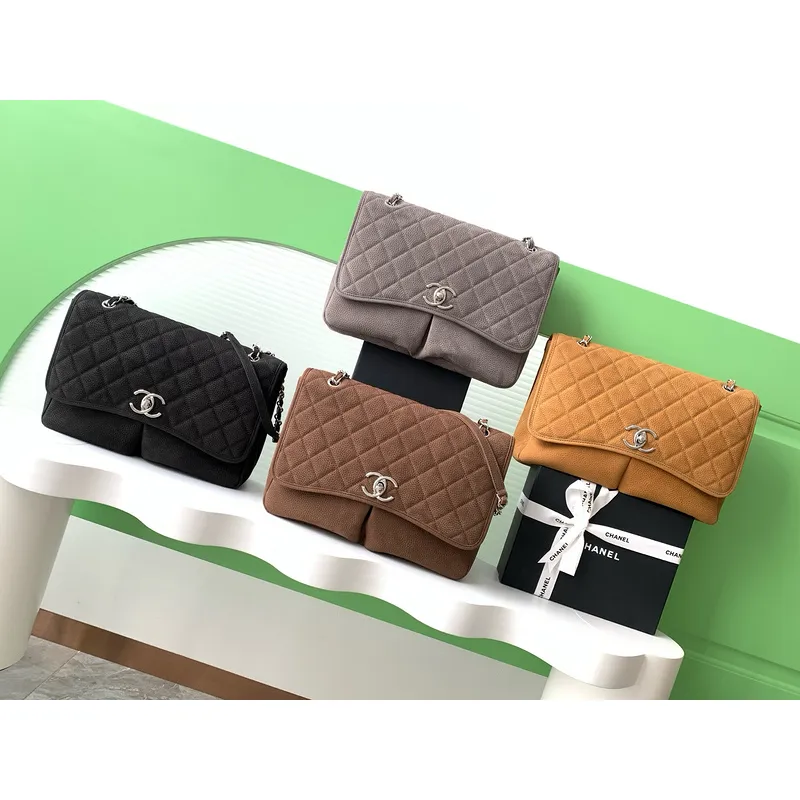 Chanel Classic Quilted Flap Bags in Diverse Colors and Textures #A50982