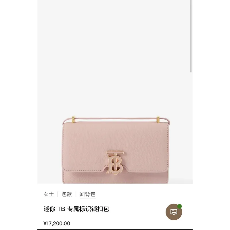 Stylish Burberry Handbags Showcasing Classic Design and Trendy Colors #A50419