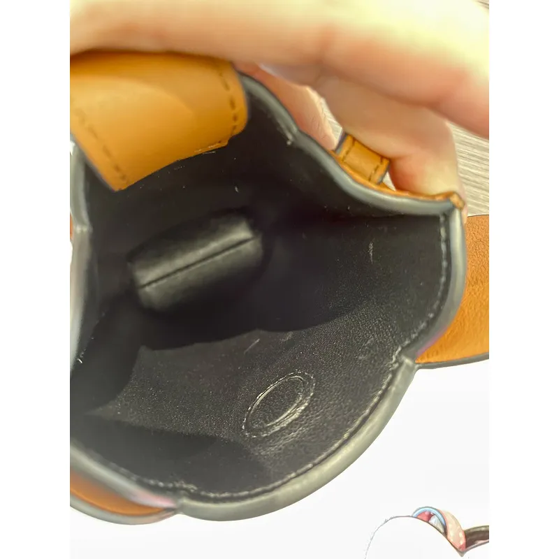 LOEWE Chic Orange Leather Crossbody Phone Bag with Minimalist Design size:19×8×4cm #A54101