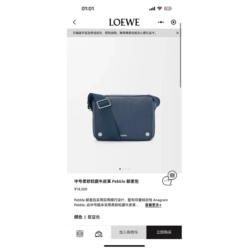 LOEWE Blue Leather Crossbody Bag With Minimalist Design And Adjustable Strap size:23×18×9cm #A54073